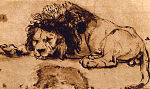 Рембрандт. Отдыхающий лев. 1648–1650
