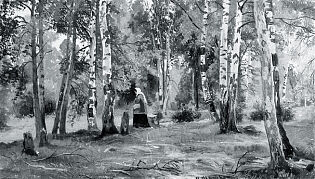 И.И. Шишкин. Берёзовая роща. В УХМ картина поступила в 1926 году из ГМФ, из собрания Цветковской галереи